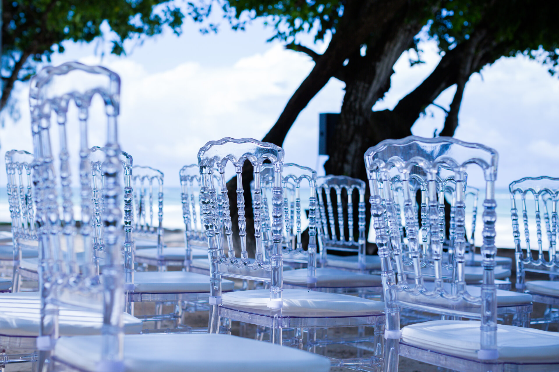 Ghost Chairs Disappear, So Plan What Guests See Through Them